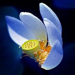 模拟建造《海岛之魂》10月19日登陆主机 打造海岛